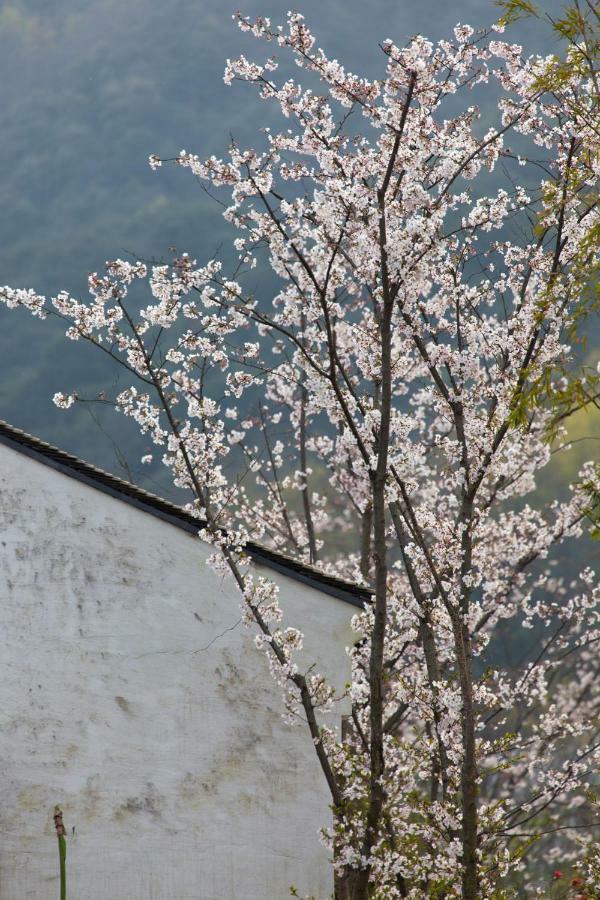 Hotel Pusen Lanting Shaoxing Esterno foto